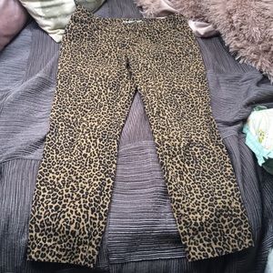 leopard pants
